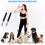 Adjustable Ultrasonic Dog Whistle 2-Pack