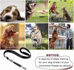Ultrasonic Dog Whistle Training Set - 2 Pack