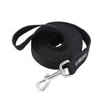 Durable Nylon Dog Training Leash - 10 Feet