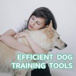 Silent Adjustable Dog Whistle 2-Pack Set