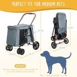Canine Canyon Scout Pet Stroller for Small Dogs
