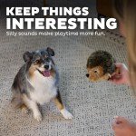 Hedgehogz Plush Toy for Dogs by Outward Hound