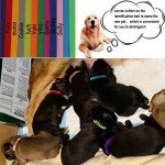 30 Pcs Adjustable Puppy ID Collars in 15 Colors