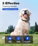 Bousnic Rechargeable Waterproof Training Collar for Dogs