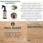 Natural Plant-Based Insect Repellent Spray for Pets