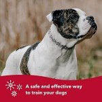 Herm Sprenger Ultra-Plus Prong Dog Training Collar