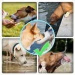 Kalimdor Portable Leak-Proof Dog Water Bottle