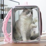 Ventilated Cat & Small Dog Backpack Carrier