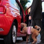 Adjustable Dog Sling for Small Dogs - Pink