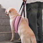 Adjustable Dog Sling for Small Dogs - Pink