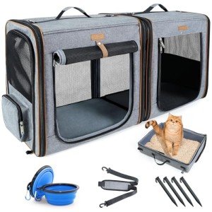 2-in-1 Travel Carrier & Litter Box for Cats