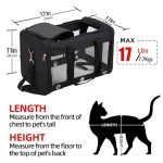 Collapsible Soft Pet Carrier for Travel, Black