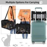 Collapsible Soft Pet Carrier for Travel, Black