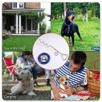 Dog Tie Out Cable and Stake for Large Dogs