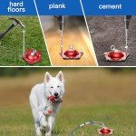 360° Swivel Dog Tie Out Stake for Yard