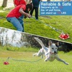 360° Swivel Dog Tie Out Stake for Yard