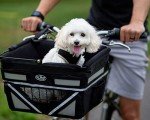 Pet-Pilot MAX Dog Bicycle Basket Carrier