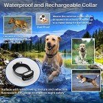 Wireless Electric Dog Fence System with Rechargeable Collar