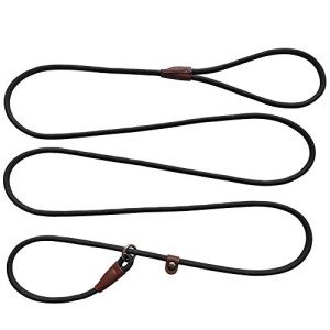 Strong 7ft Slip Lead Dog Leash for Training