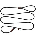 Strong 7ft Slip Lead Dog Leash for Training