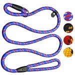 Adjustable 5 FT Dog Rope Leash for Training
