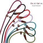 Strong 7ft Slip Lead Dog Leash for Training