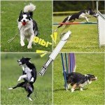 Adjustable White Dog Whistle for Silent Training