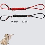 Strong 7ft Slip Lead Dog Leash for Training