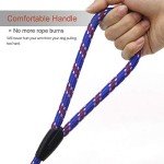 Adjustable 5 FT Dog Rope Leash for Training
