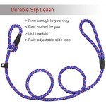 Adjustable 5 FT Dog Rope Leash for Training