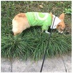 Strong 7ft Slip Lead Dog Leash for Training