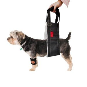 Adjustable Dog Lift Harness for Rear Leg Support