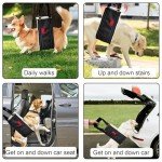 Adjustable Dog Lift Harness for Rear Leg Support
