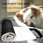 Adjustable Dog Lift Harness for Rear Leg Support