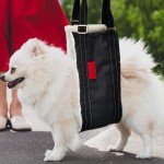 Adjustable Dog Lift Harness for Rear Leg Support