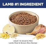 Hill's Science Diet Lamb & Rice Dog Food, 4.5 lb