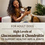 Merrick Grain-Free Beef & Sweet Potato Dog Food