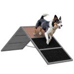 PawHut Dog Agility Ramp for Backyard Fun