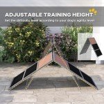 PawHut Dog Agility Ramp for Backyard Fun