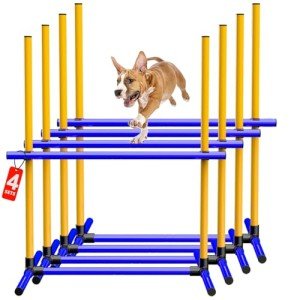 4-Piece Dog Agility Training Equipment Set