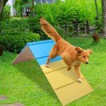 Spiareal Dog Agility A-Frame Training Equipment