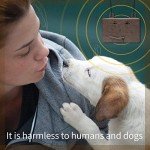 Ultrasonic Bark Control Device for Dogs