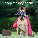 Ultrasonic Bark Control Device for Dogs