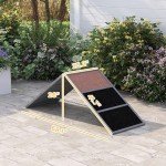 PawHut Dog Agility Ramp for Backyard Fun
