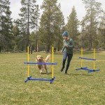 4-Piece Dog Agility Training Equipment Set