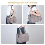 Maxetodo Small Pet Carrier Purse for Dogs & Cats