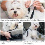 Adjustable Dog Car Seat Belt - All Pets