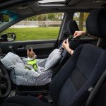 Cozy Travel Bed & Car Seat for Small Dogs