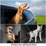 Adjustable Dog Car Seat Belt - All Pets
