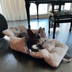 Cozy Travel Bed & Car Seat for Small Dogs